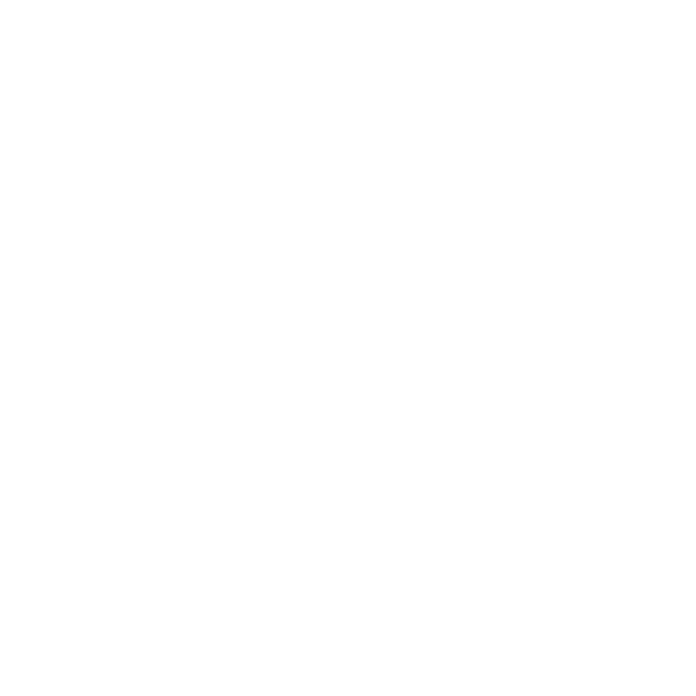 Domisys Logo